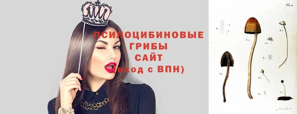 соль курить ск Кодинск