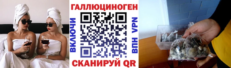 мега ТОР  Сураж  Псилоцибиновые грибы ЛСД 